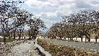 takano1-20250412130016.jpg