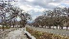takano1-20250412131021.jpg