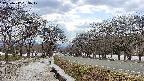 takano1-20250412133018.jpg