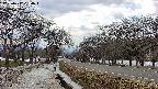 takano1-20250412134017.jpg