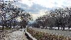 takano1-20250412152017.jpg