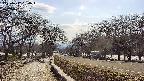 takano1-20250412154017.jpg