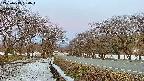 takano1-20250413050018.jpg
