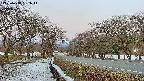 takano1-20250413051016.jpg