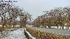 takano1-20250413052017.jpg