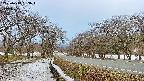 takano1-20250413053015.jpg
