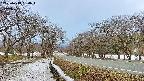 takano1-20250413054017.jpg