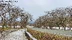 takano1-20250413061016.jpg