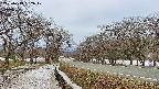 takano1-20250413062017.jpg