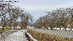 takano1-20250413063018.jpg