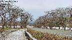 takano1-20250413065017.jpg