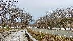 takano1-20250413070016.jpg