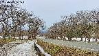 takano1-20250413071016.jpg