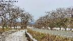 takano1-20250413072017.jpg