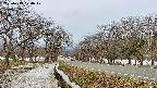 takano1-20250413074018.jpg