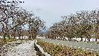 takano1-20250413075016.jpg