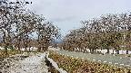 takano1-20250413080017.jpg