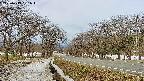 takano1-20250413081016.jpg