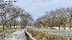 takano1-20250413084017.jpg