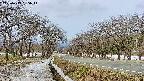 takano1-20250413085015.jpg