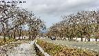 takano1-20250413090016.jpg