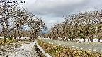 takano1-20250413091016.jpg