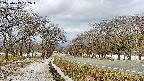 takano1-20250413092017.jpg