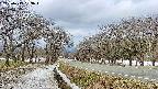 takano1-20250413093018.jpg