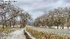 takano1-20250413094017.jpg