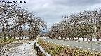 takano1-20250413100018.jpg