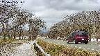 takano1-20250413101017.jpg