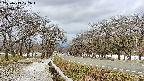 takano1-20250413102016.jpg