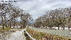 takano1-20250413103017.jpg