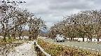 takano1-20250413105018.jpg