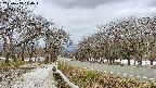 takano1-20250413110017.jpg