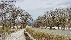 takano1-20250413111018.jpg