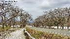 takano1-20250413112017.jpg