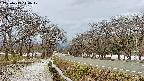 takano1-20250413114019.jpg