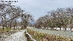 takano1-20250413115018.jpg