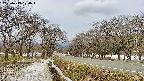 takano1-20250413120016.jpg