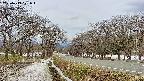 takano1-20250413121017.jpg