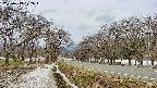 takano1-20250413122016.jpg