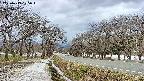 takano1-20250413125017.jpg