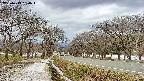 takano1-20250413130019.jpg