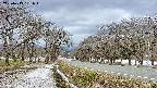 takano1-20250413131017.jpg