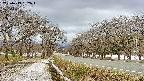 takano1-20250413132016.jpg