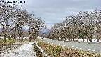 takano1-20250413133017.jpg