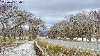 takano1-20250413134017.jpg