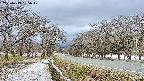 takano1-20250413135018.jpg