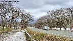 takano1-20250413140018.jpg